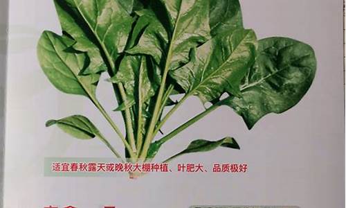 高质量白菜网：菠菜公司排名(菠菜公司排行) (6)(1)